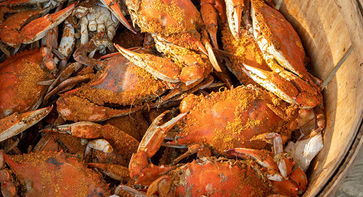 Crabs open easier with Tommys Famous Seafood Opener Crabs open easier with Tommy's Famous Seafood Opener